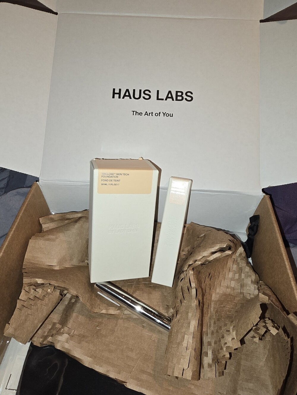 Haus Labs Lady Gaga Triclone Foundation 040 + Concealer 01 Fair Neutral +Mascara